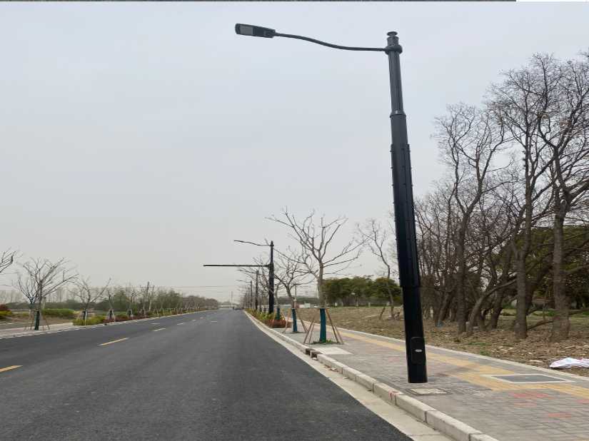 汝州市上海综合杆 太阳能路灯工程